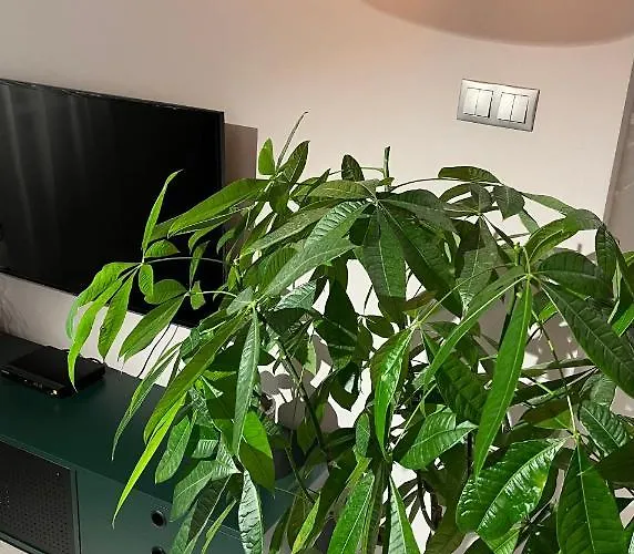 Z Widokiem - Blablaflat Ku Sloncu Διαμέρισμα